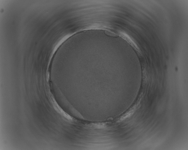 X0000070860900200606231250