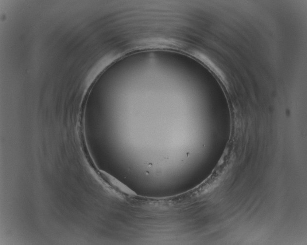 X0000070860901200606231250