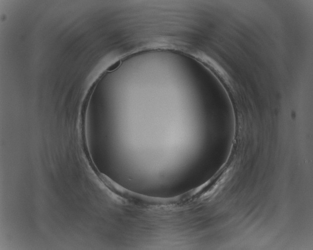 X0000070860902200606231250