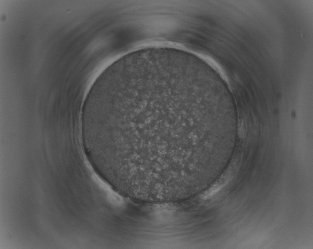 X0000070860903200606231250