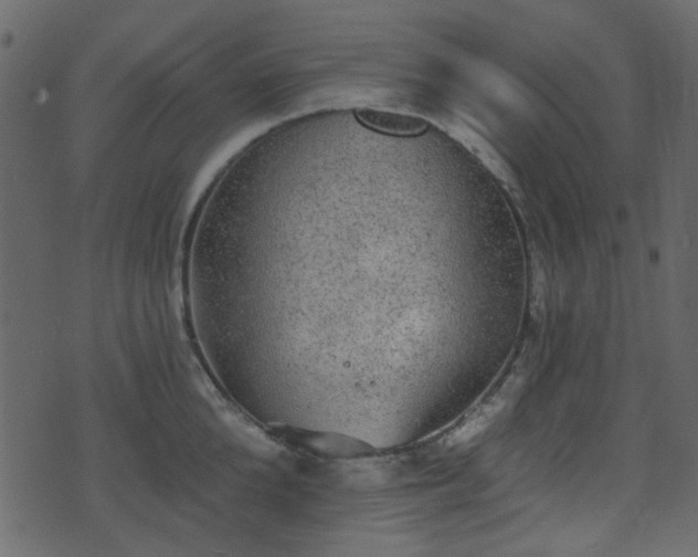 X0000070860904200606231250