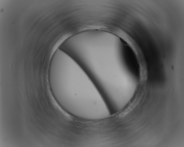 X0000070860906200606231250