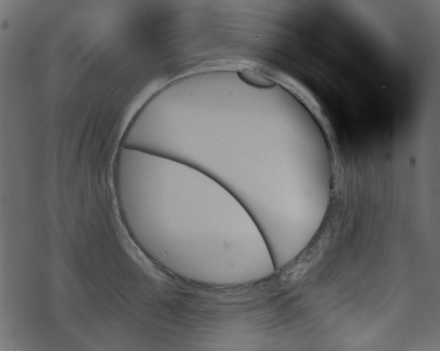 X0000070860907200606231250