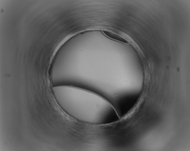 X0000070860908200606231250