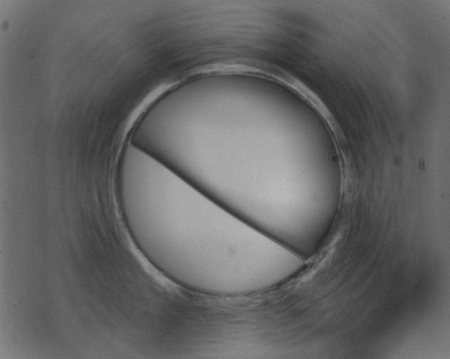 X0000070860909200606231250