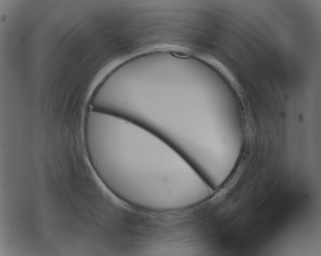 X0000070860910200606231250