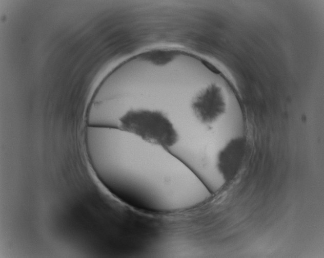 X0000070860911200606231250