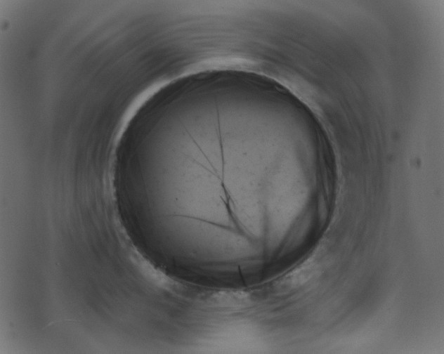 X0000070860912200606231250