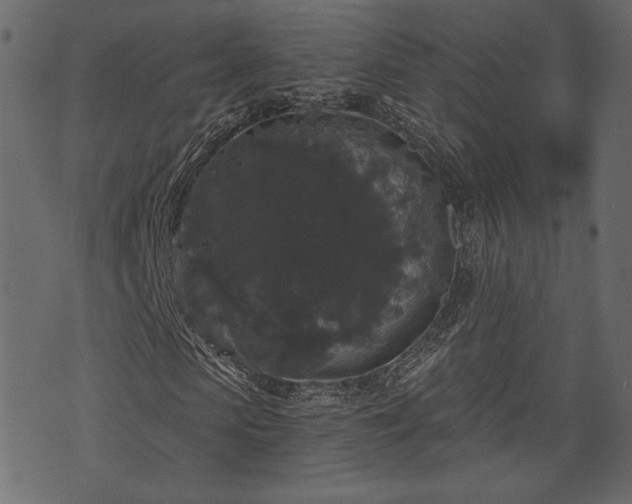 X0000070860913200606231249