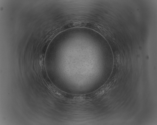 X0000070860914200606231249