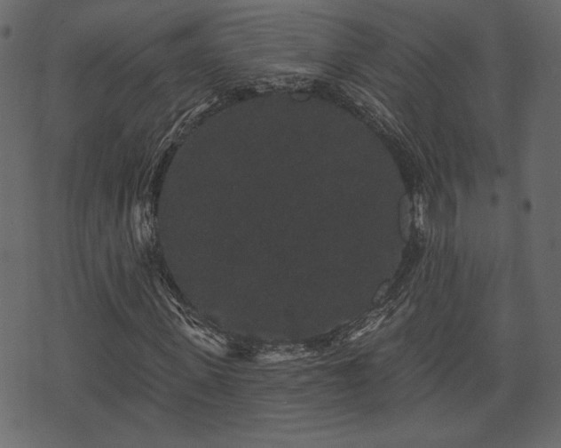 X0000070860915200606231249