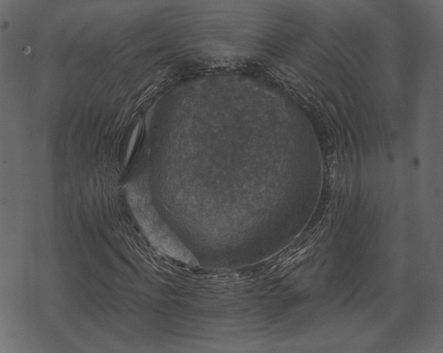 X0000070860916200606231249