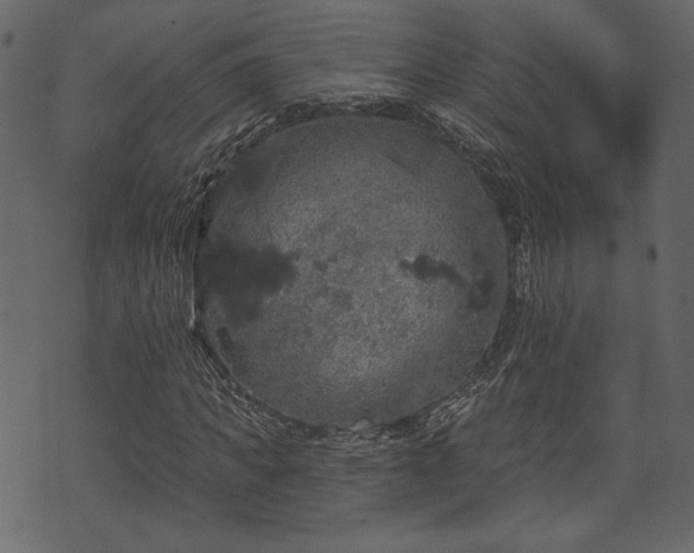 X0000070860917200606231249