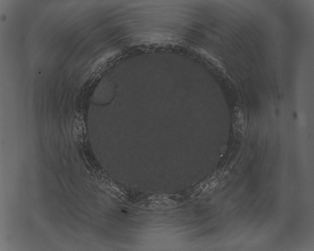 X0000070860918200606231249