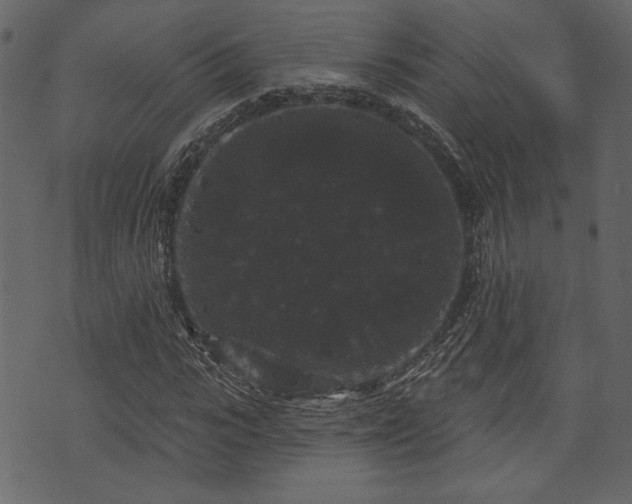 X0000070860919200606231249