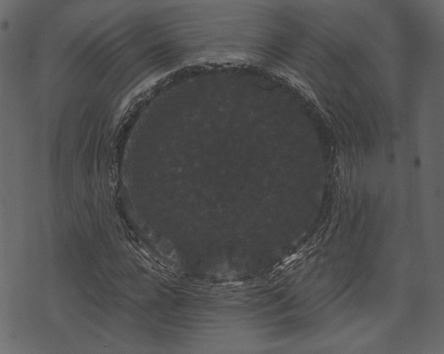 X0000070860920200606231249