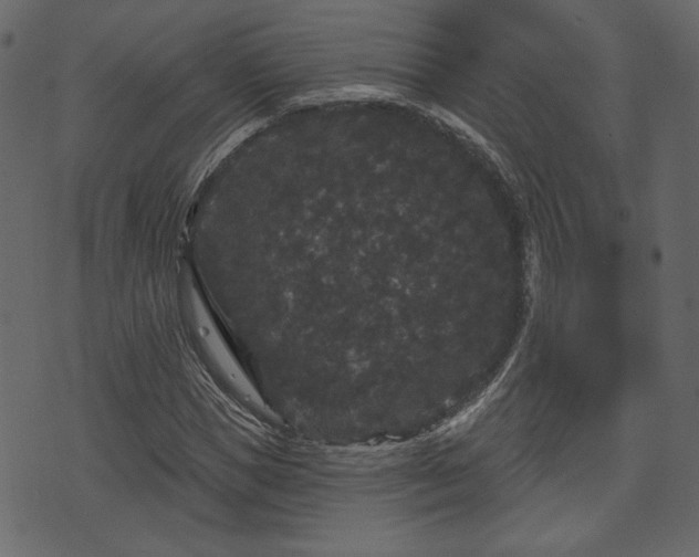 X0000070860921200606231249