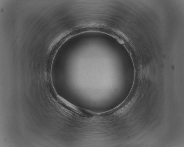 X0000070860922200606231249