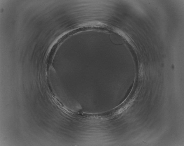 X0000070860923200606231249