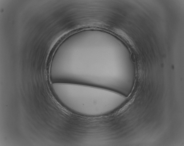 X0000070860924200606231249