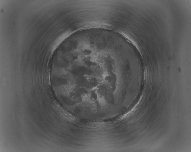 X0000070860925200606231249