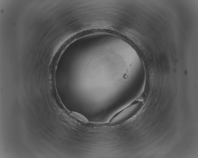 X0000070860926200606231249