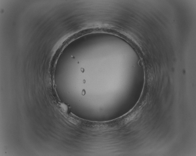 X0000070860927200606231249