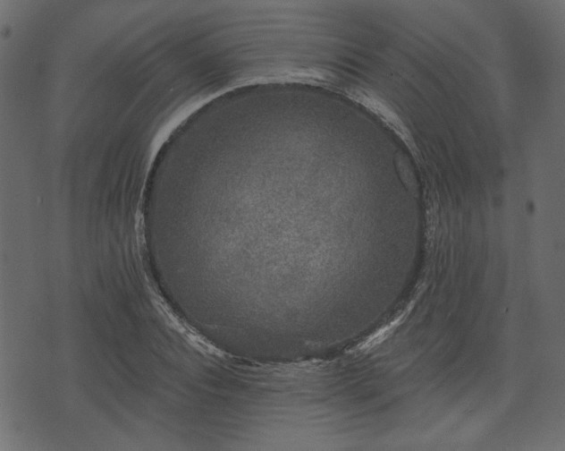 X0000070860928200606231249