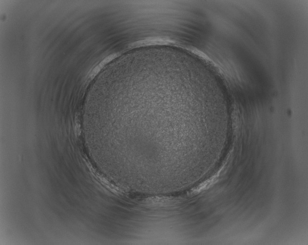 X0000070860929200606231249