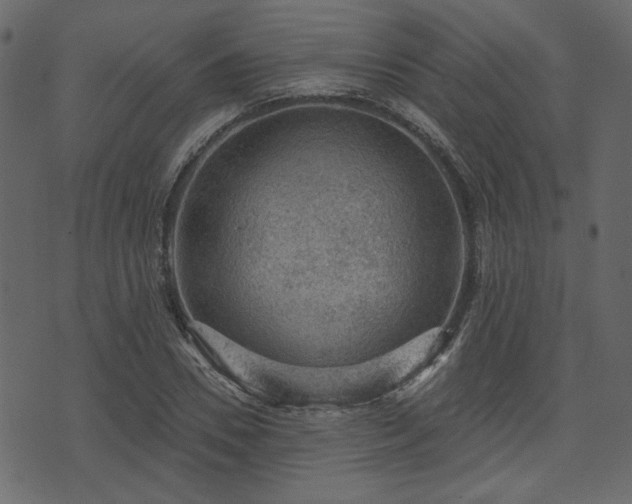 X0000070860930200606231249