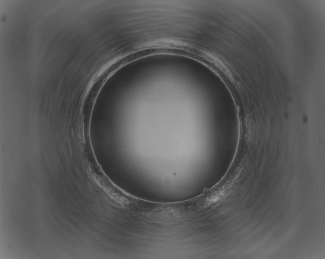 X0000070860931200606231249