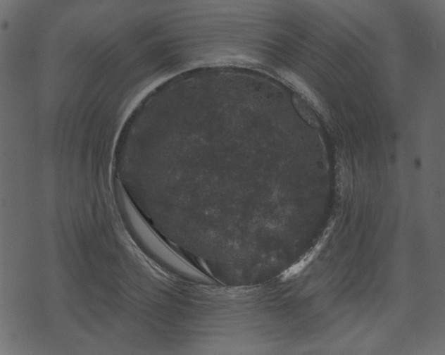 X0000070860932200606231249