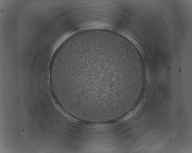 X0000070860933200606231249