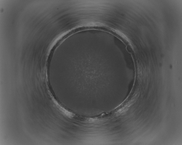 X0000070860935200606231249