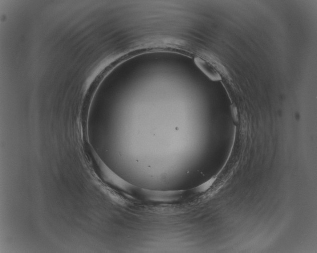 X0000070860936200606231249