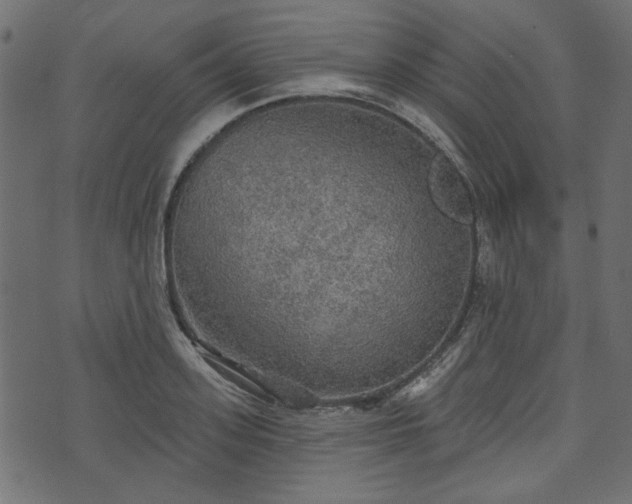 X0000070860939200606231249