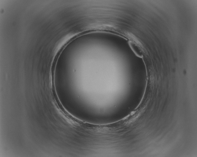 X0000070860940200606231249