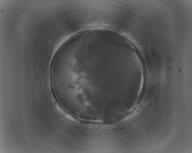 X0000070860941200606231249