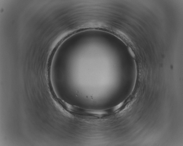 X0000070860942200606231249