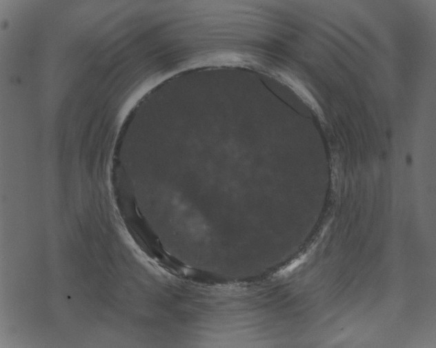 X0000070860944200606231249