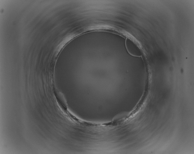 X0000070860945200606231249