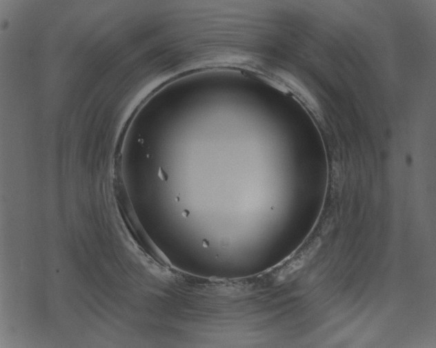 X0000070860948200606231249