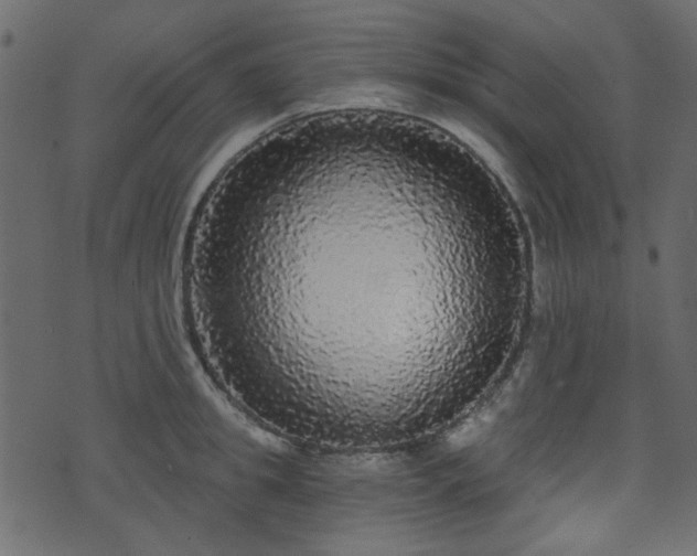 X0000070860949200606231249