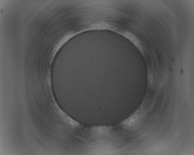 X0000070860950200606231249