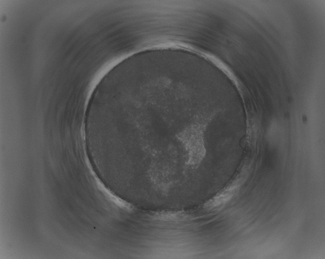 X0000070860951200606231249