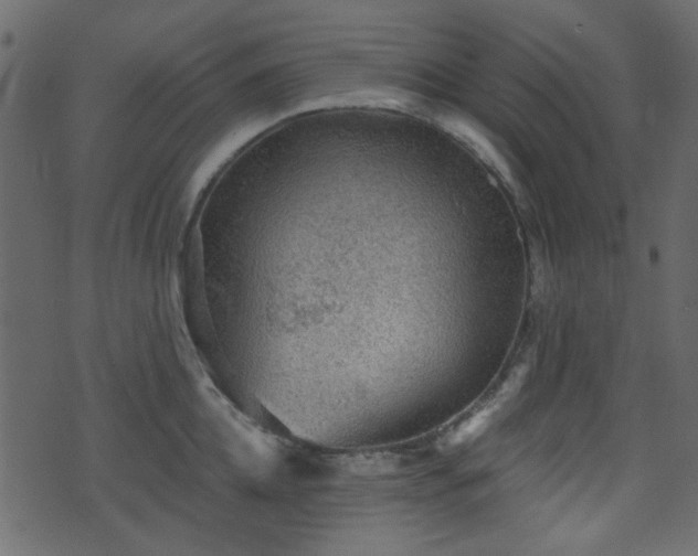 X0000070860952200606231249