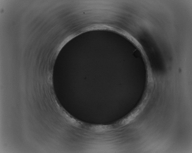 X0000070860953200606231249