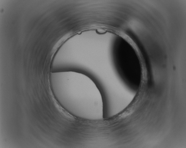 X0000070860954200606231249