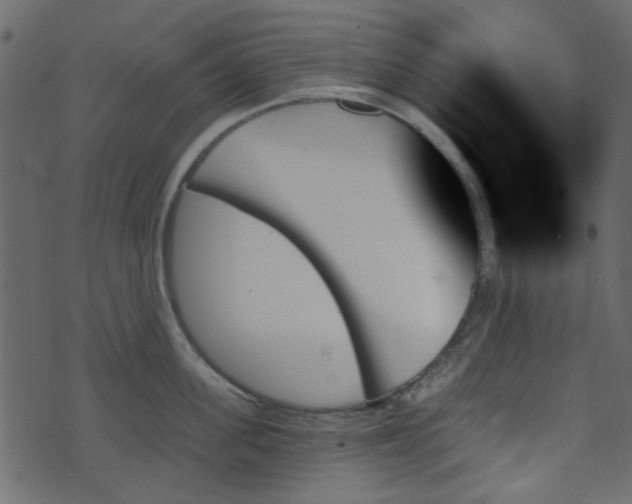 X0000070860955200606231249