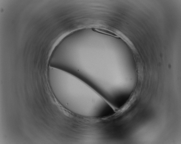 X0000070860956200606231249